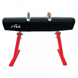 STAG Pommel Horse Competition 